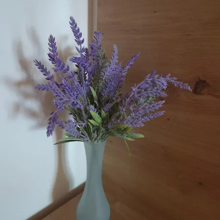 Natasa Appartement Novi Vinodolski