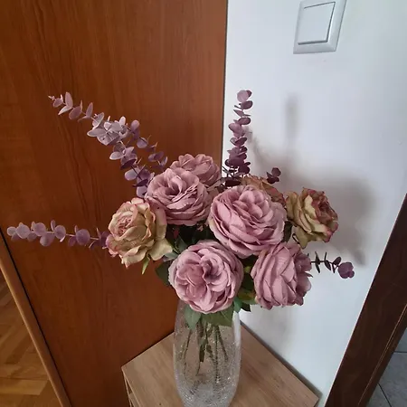 Natasa *